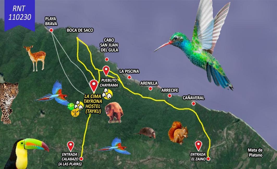 La Cima Tayrona Hotel Santa Marta  Eksteriør billede