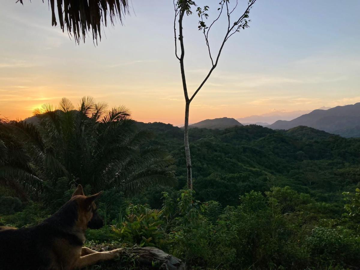 La Cima Tayrona Hotel Santa Marta  Eksteriør billede