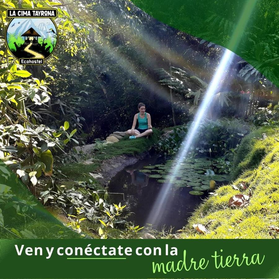 La Cima Tayrona Hotel Santa Marta  Eksteriør billede