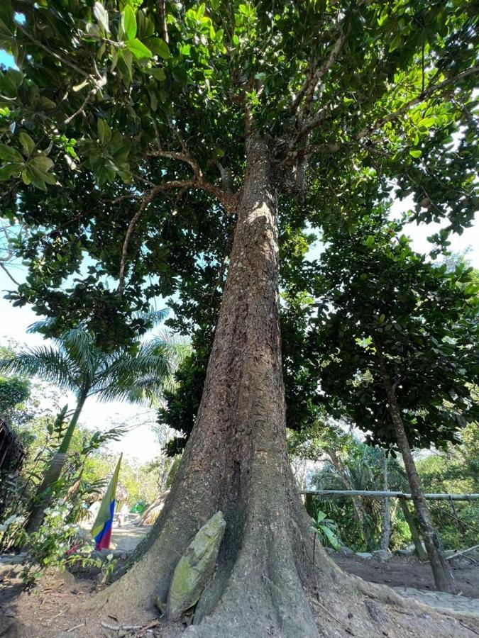 La Cima Tayrona Hotel Santa Marta  Eksteriør billede